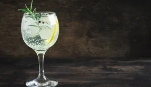Lee más sobre el artículo Moonshine Tonic